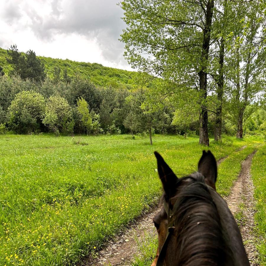 Glamping Park Ξενοδοχείο Shahumyan Εξωτερικό φωτογραφία